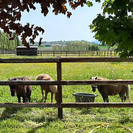 Villa Le Petit Paddock Villeneuve-les-Cerfs Exterior foto