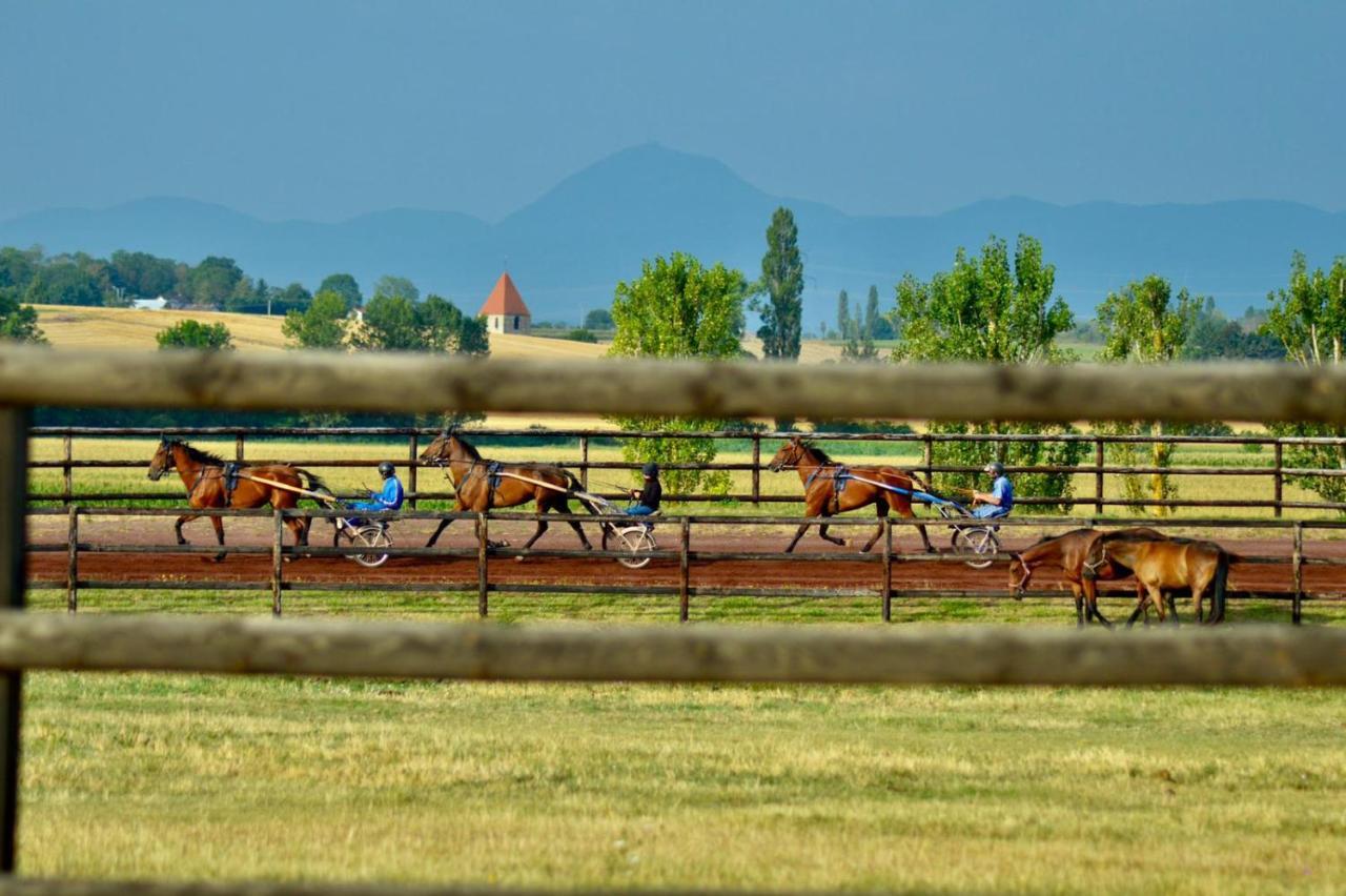 Le Petit Paddock Villeneuve-les-Cerfs